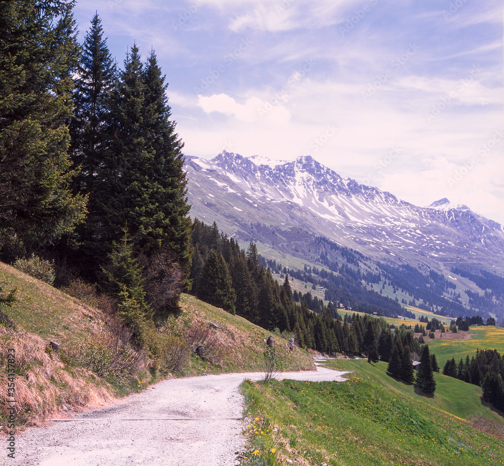 Naklejka premium Climbing the path to the Guergaletsch peak near Lenzerheide in the Swiss Alps in summer, shot with analogue film slide technique