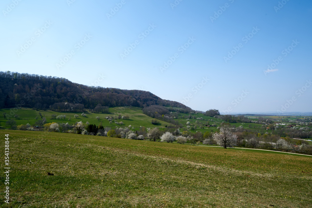 Green landscape on the schwäbische alp, green lush meadows in spring (swabian alp) in south germany