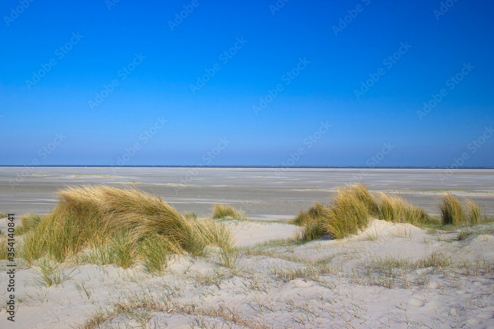 the dunes, Renesse, Zeeland, the Netherlands the dunes, Renesse, Zeeland, the Netherlands