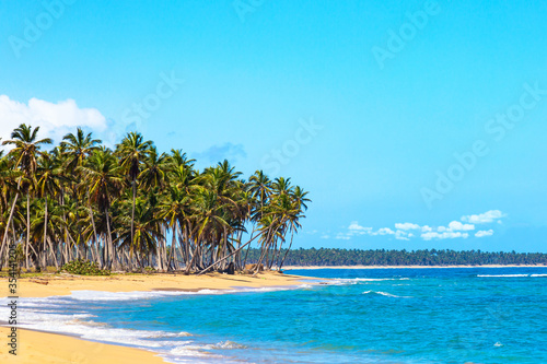 Palm trees on the wild tropical beach in Dominican Republic. Vacation travel background © Nikolay N. Antonov