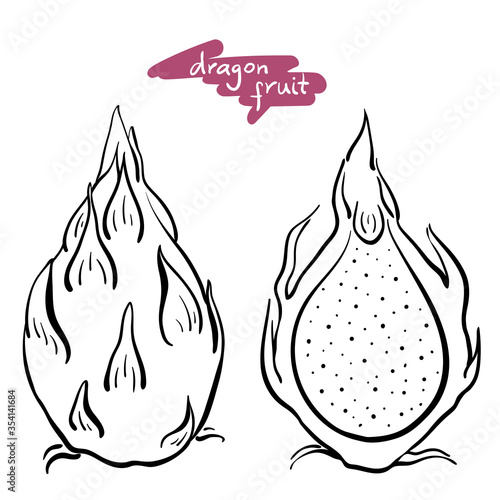 Dragon fruit, pitaya. Whole and half. Black line sketch collection of tropical fruits isolated on white background. Doodle hand drawn fruit icons. Vector illustration