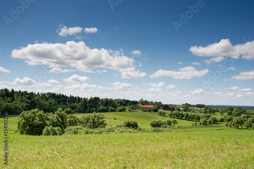 Fototapeta Naklejka Na Ścianę i Meble -  Mazury Garbate 28