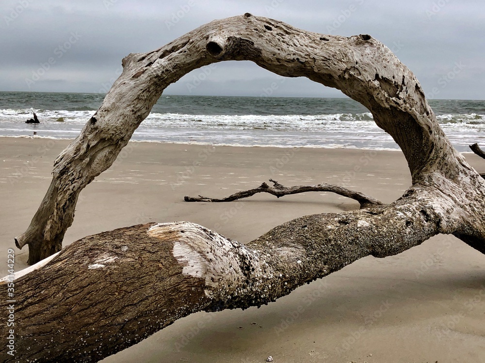 Driftwood Driftwood