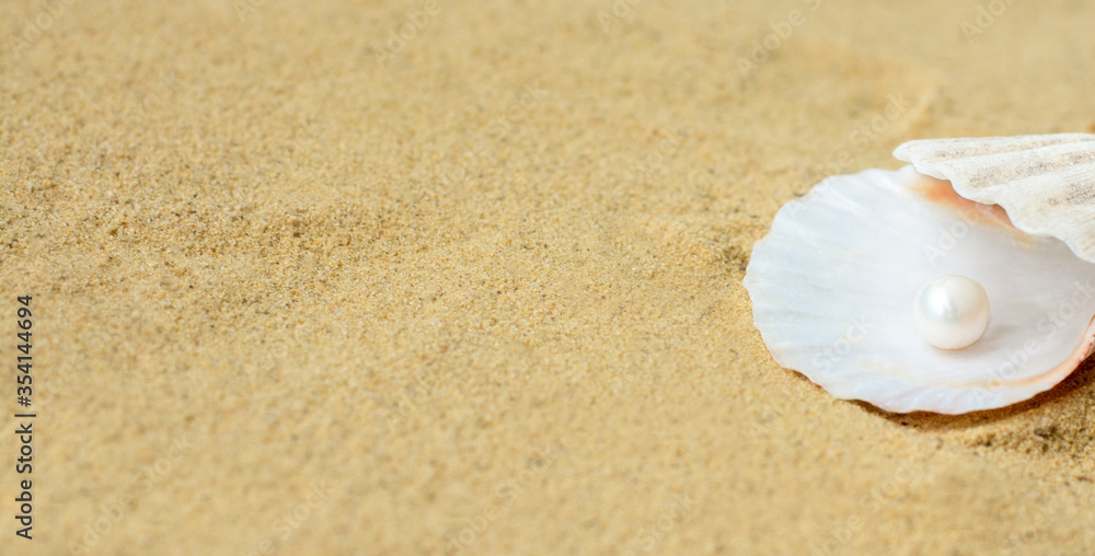 Pearl on the seashell on the sand . Treasure from the sea . Banner.Copy space for text. Pearl on the seashell on the sand . Treasure from the sea . Banner.Copy space for text.