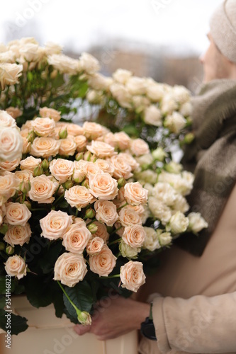 Foto Roses tanya