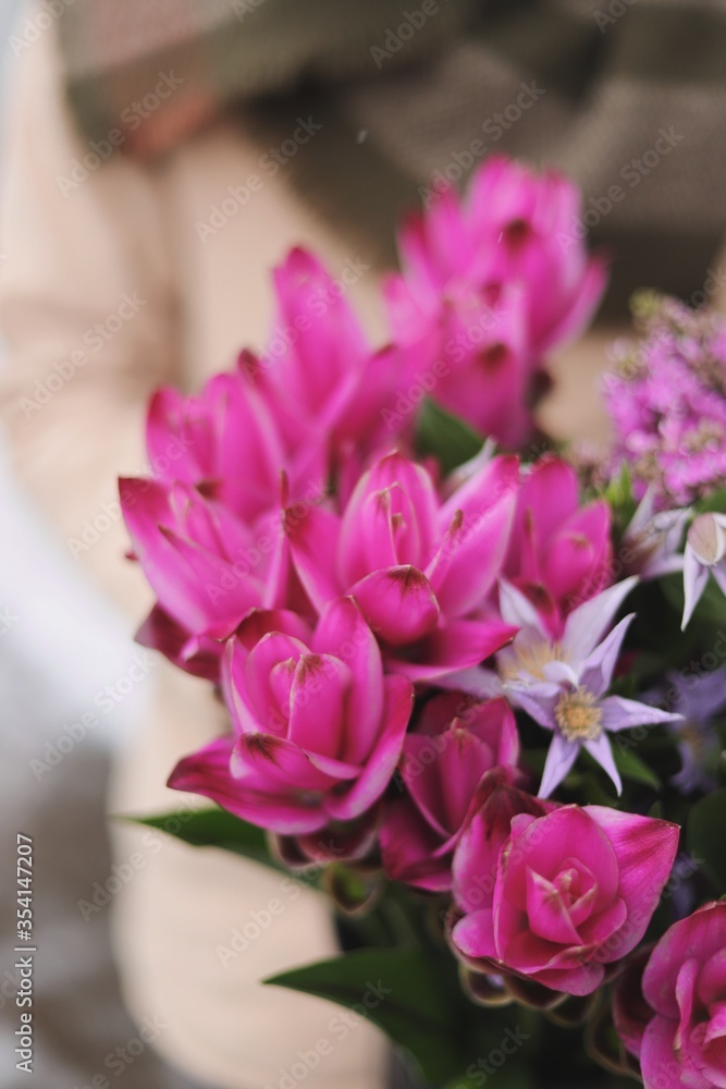 Curcuma flowers Curcuma flowers