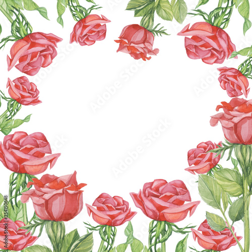 pattern red roses watercolor flower white background isolate object