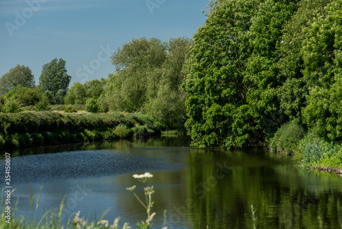 Nature around the Calder River  Wakefield  West Yorkshire  UK.