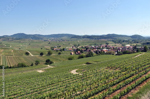 Burkheim im Kaiserstuhl hinter Weinbergen