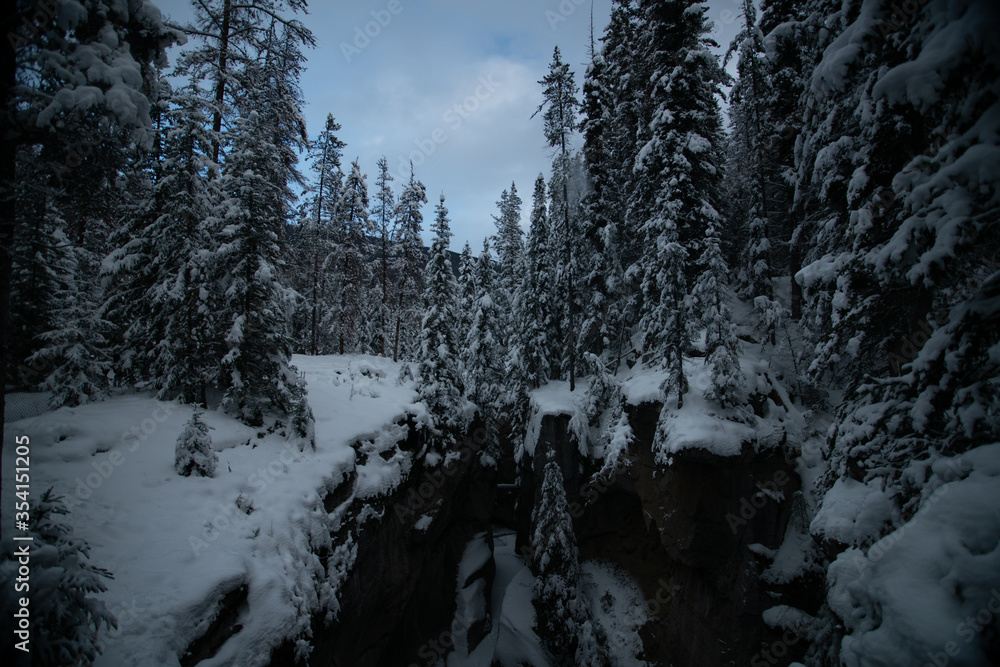 maligne canyon covered in snow and ice in the winter in alberta maligne canyon covered in snow and ice in the winter in alberta