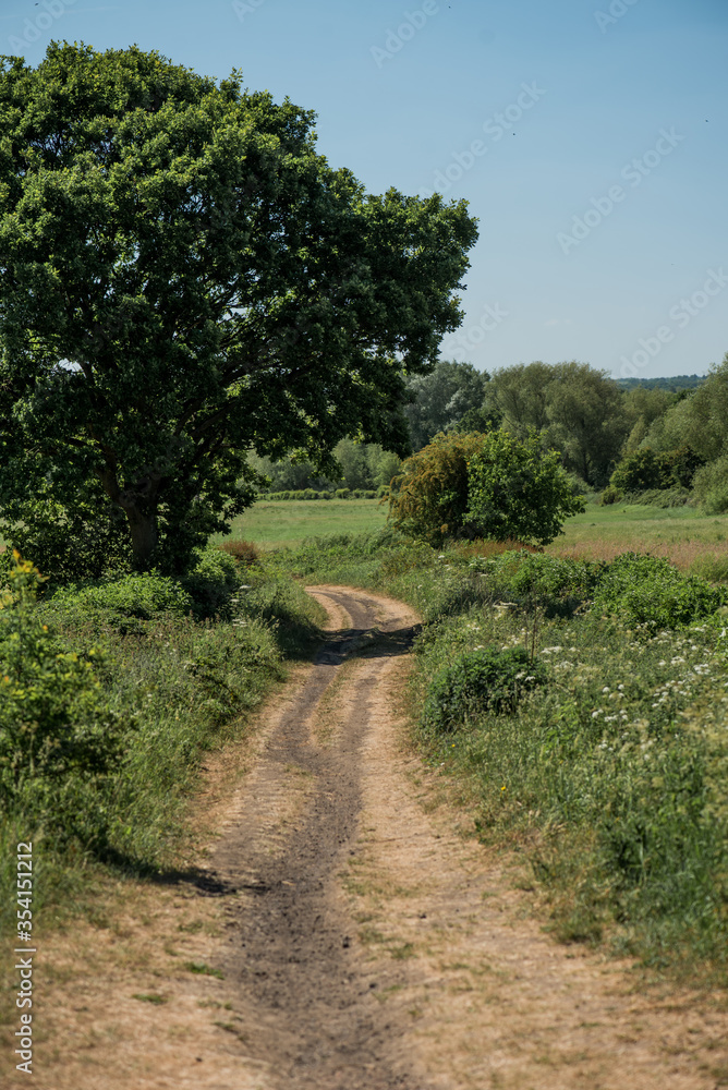 European country path on a sunny summer day.