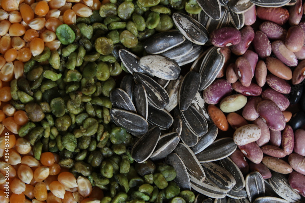 Naklejka premium Background texture pattern with sunflower seeds, popcorn kernels, black beans, pinto beans.