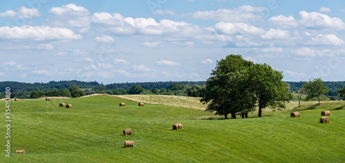Fototapeta Naklejka Na Ścianę i Meble -  Mazury Garbate 31