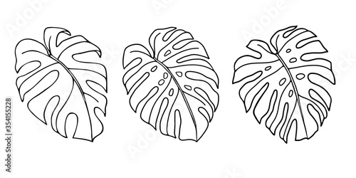Set of exotic Monstera Liana tropical leaves, hand-drawn in a doodle for elegant design of ornaments, patterns. Vector hand drawn set silhouette leaves in outline technique on the white background.
