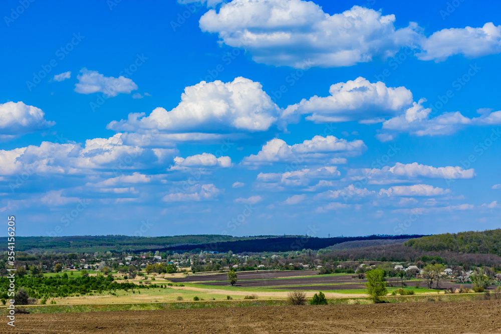 Green forest and fields under the blue sky. Summer landscape Green forest and fields under the blue sky. Summer landscape