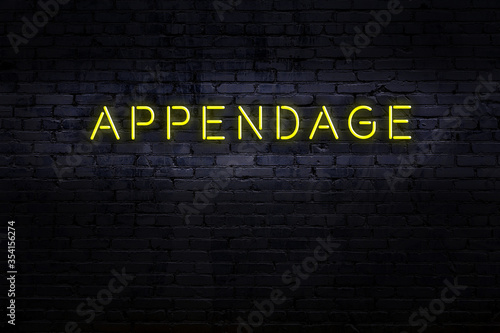 Night view of neon sign on brick wall with inscription appendage photo