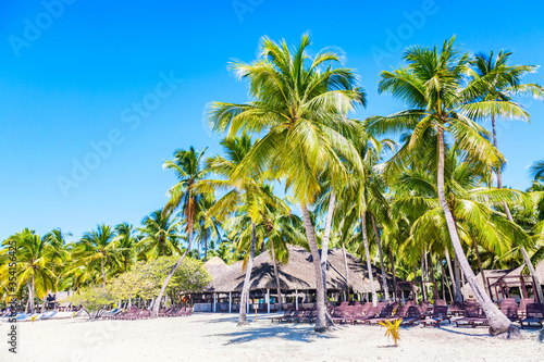 Beautiful tropical beach with sun loungers and palms. Saona Island, Dominican Republic. Caribbean resort. Vacation travel background.