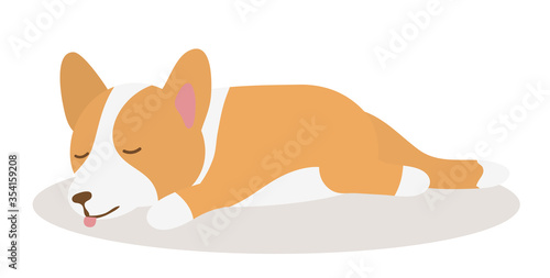 Welsh Corgi dog sleeping on a Mat