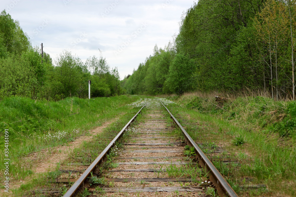 spring landscape with abandoned railway in the forest overgrown with grass and flowers spring landscape with abandoned railway in the forest overgrown with grass and flowers