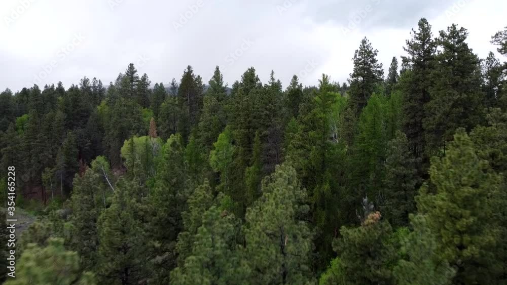 flight over the woods Kimberly BC flight over the woods Kimberly BC