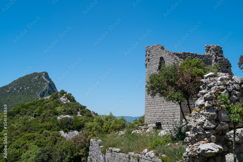 ruins of the castle