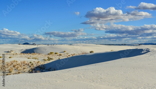 Desert landscape of gypsum dunes in White Sands National Monument in New Mexico  USA