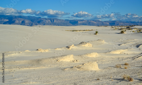 Desert landscape of gypsum dunes in White Sands National Monument in New Mexico  USA