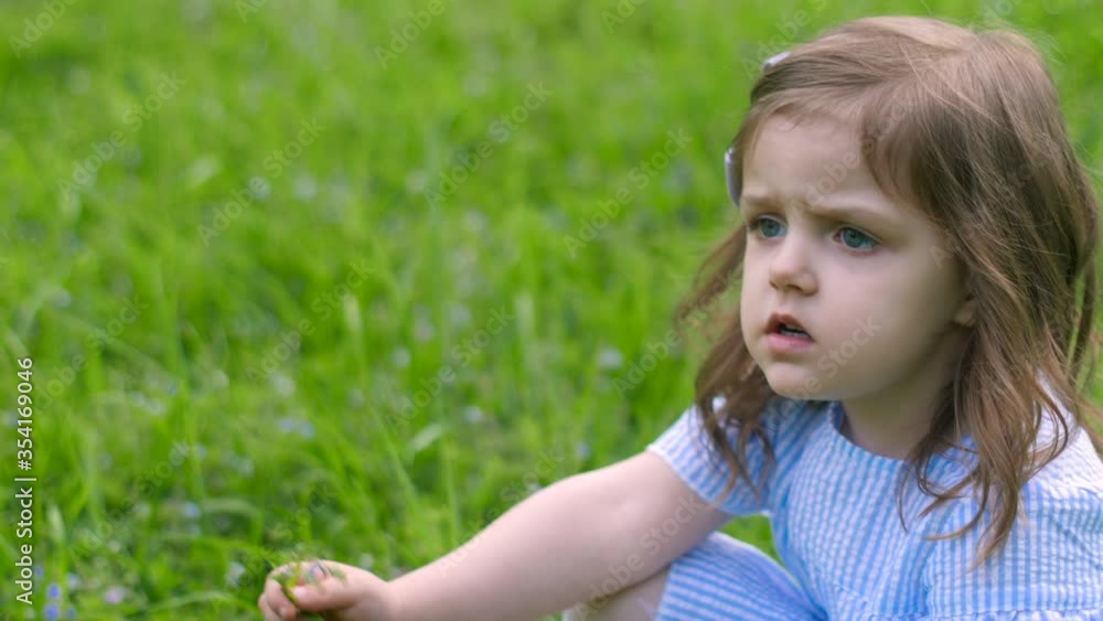 girl child in a blue striped dress and a bow stands in a green field gathers wildflowers in the afternoon girl child in a blue striped dress and a bow stands in a green field gathers wildflowers in the afternoon