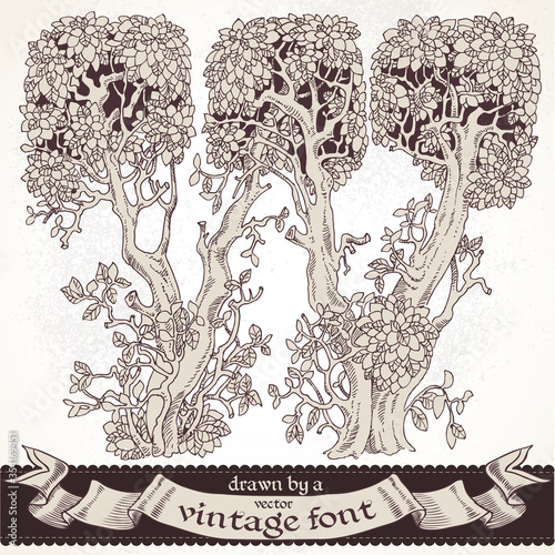Fable forest hand drawn by a vintage font - W