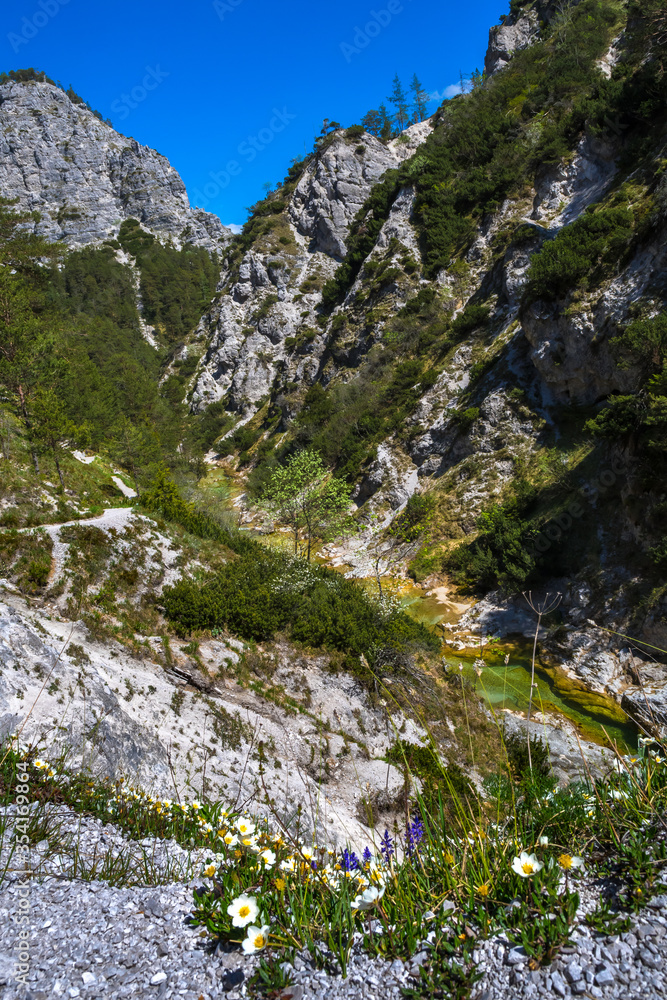 Clear And Wild Mountain River In Green Canyon In Ötschergräben In Austria Clear And Wild Mountain River In Green Canyon In Ötschergräben In Austria