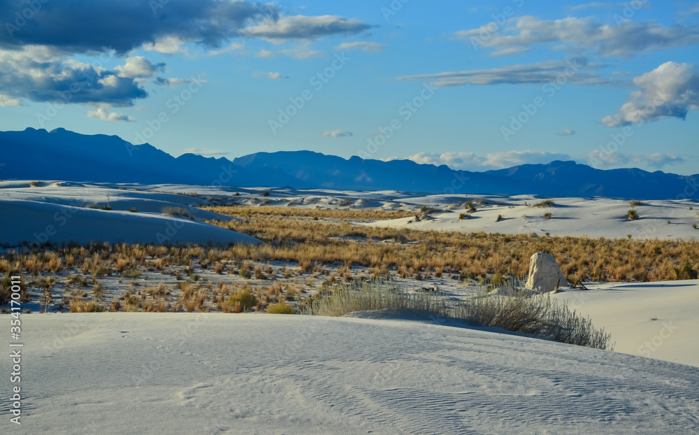Desert landscape of gypsum dunes in White Sands National Monument in New Mexico, USA