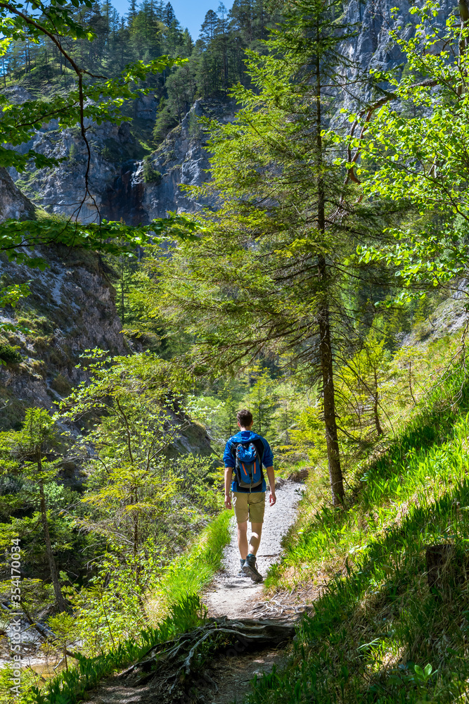 Young Man Walks On Hiking Trail In Ötschergräben In Austria