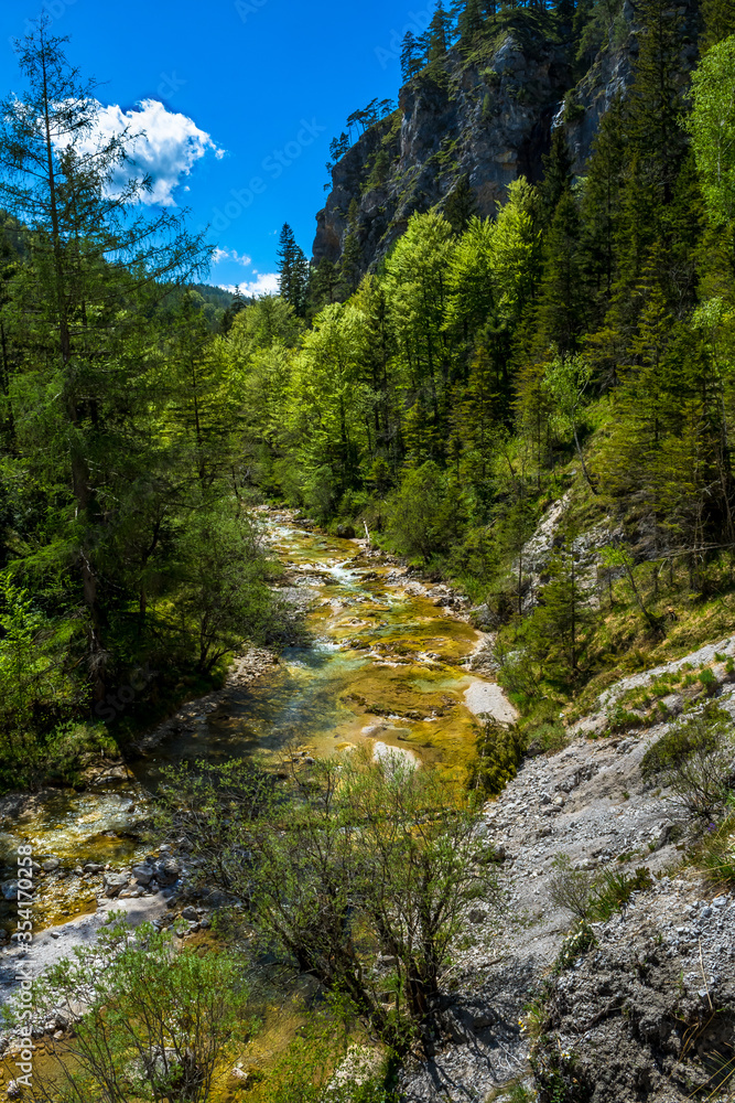 Clear And Wild Mountain River In Green Canyon In Ötschergräben In Austria Clear And Wild Mountain River In Green Canyon In Ötschergräben In Austria