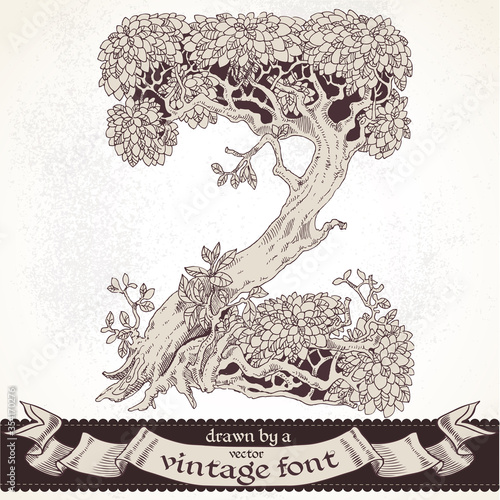 Bilde på lerret Fable forest hand drawn by a vintage font - Z