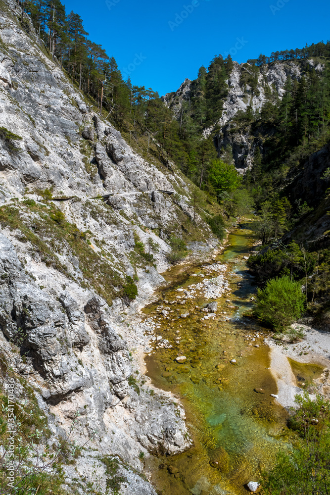 Obraz premium Clear And Wild Mountain River In Green Canyon In Ötschergräben In Austria