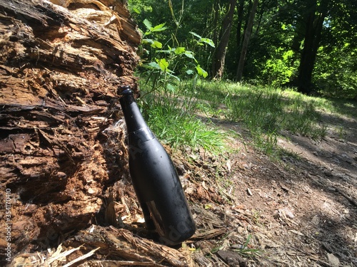 Empty Glass Wine Bottle in the Forest