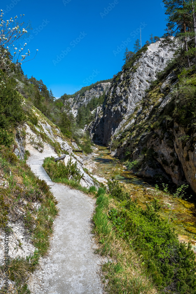 Hiking Trail Beneath Wild Mountain River In Ötschergräben in Austria