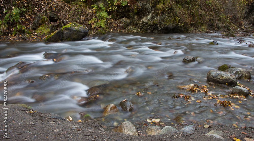 Obraz premium stream in the forest