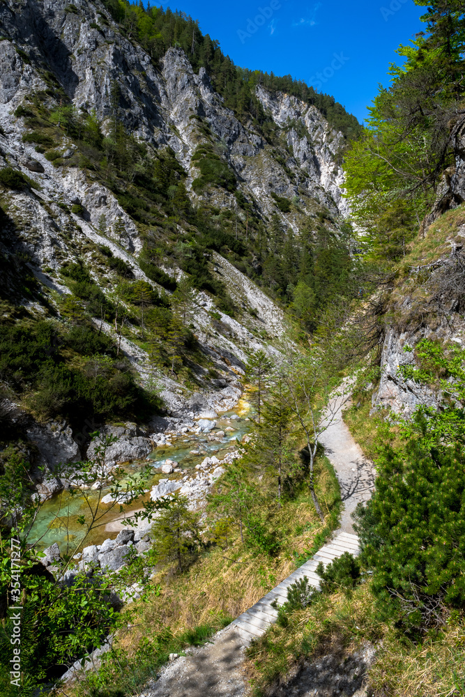 Obraz premium Hiking Trail Beneath Wild Mountain River In Ötschergräben in Austria