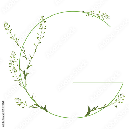 Capital letter G with shepherd's purse flowers. Beautiful floral font.	
