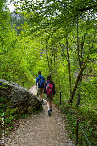People Walk On Forest Hiking Trail In Ötschergräben In Austria