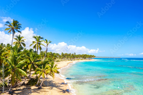 Drone view of palm trees on the wild tropical beach in Dominican Republic. Vacation travel background