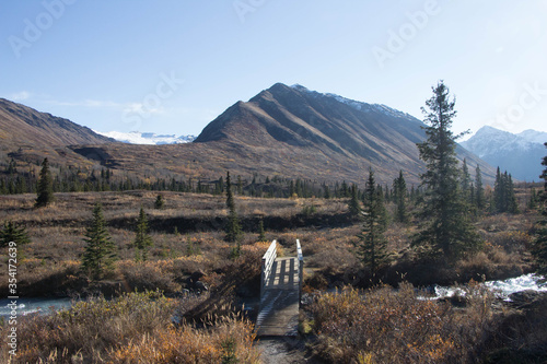 path in the Alaskan mountains