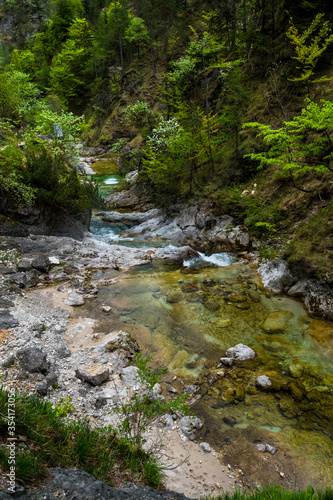 Clear And Wild Mountain River In Green Canyon In Ötschergräben In Austria