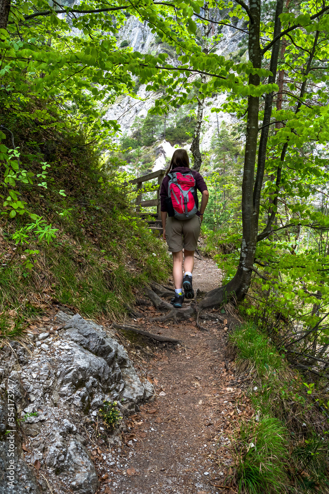 Young Woman Walks On Forest Hiking Trail In Ötschergräben In Austria Young Woman Walks On Forest Hiking Trail In Ötschergräben In Austria