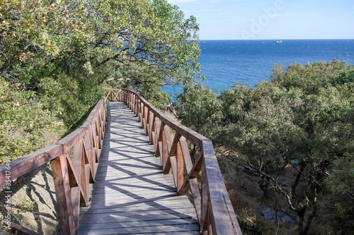Wooden bridge over the forest to the sea