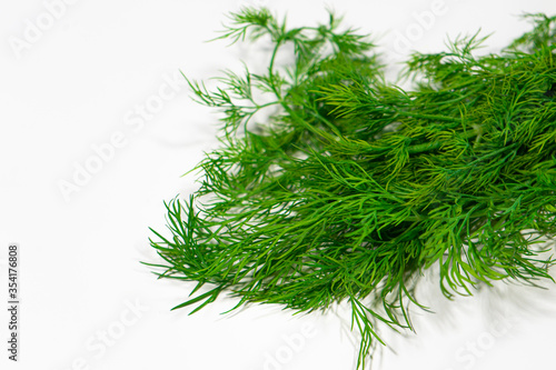 Dill close-up white background