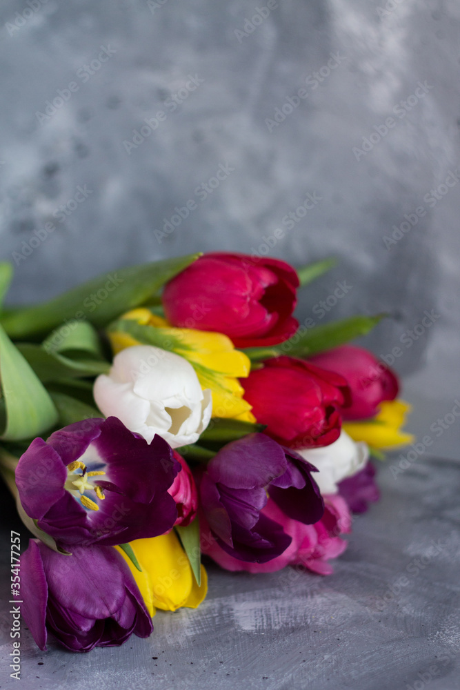 Fototapeta premium beautiful spring tulips as a symbol of love
