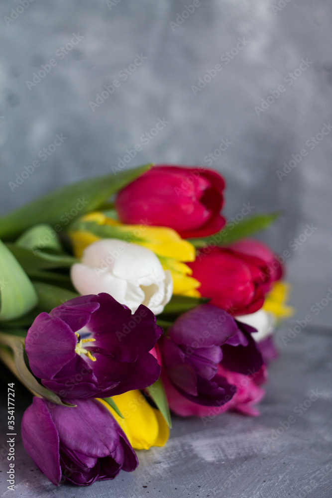 beautiful spring tulips as a symbol of love beautiful spring tulips as a symbol of love
