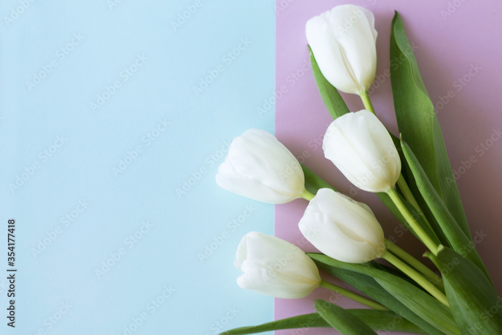 beautiful spring tulips as a symbol of love